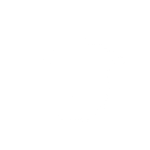 Logo Aisance Eagle